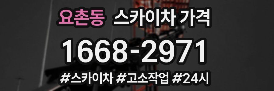 요촌동 스카이차 가격