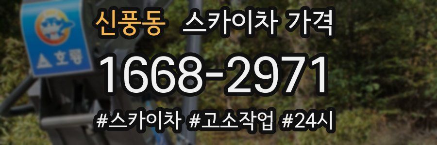 신풍동 스카이차 가격