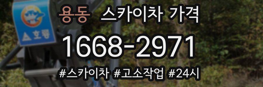 용동 스카이차 가격