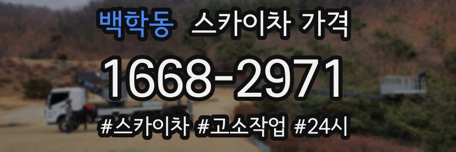 백학동 스카이차 가격