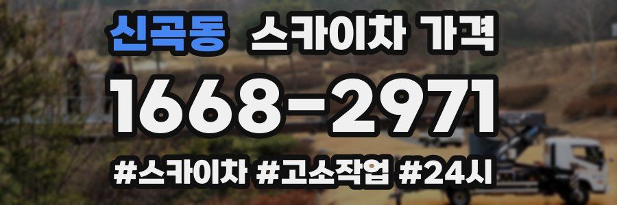 신곡동 스카이차 가격