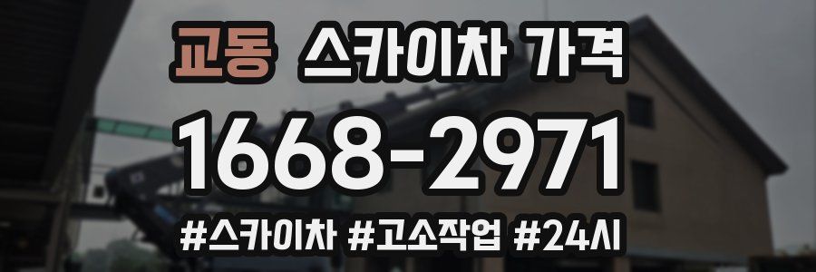 교동 스카이차 가격