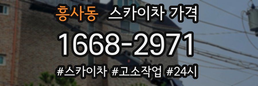 흥사동 스카이차 가격