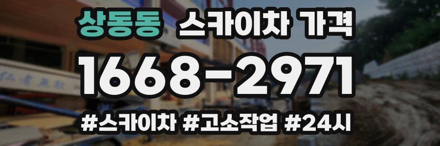 상동동 스카이차 가격