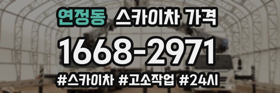 연정동 스카이차 가격