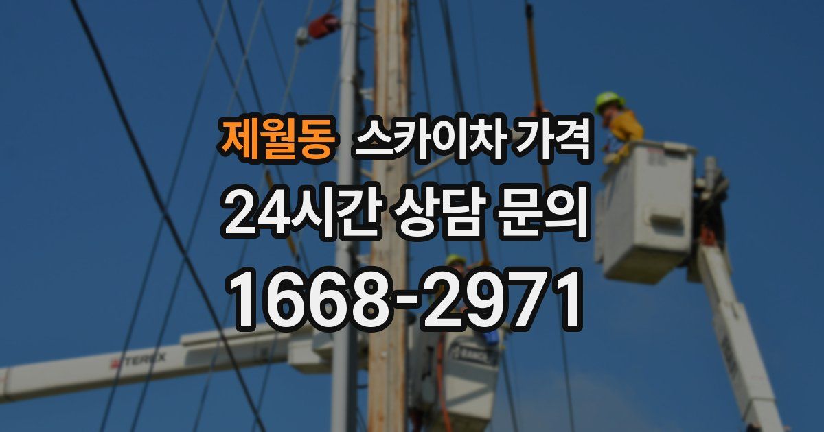 제월동 스카이차 가격