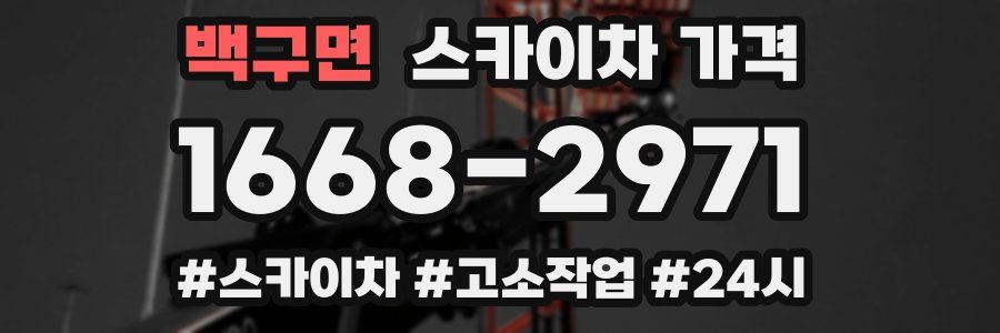 백구면 스카이차 가격