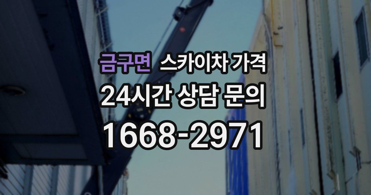 금구면 스카이차 가격