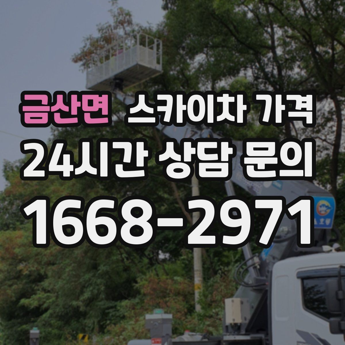 금산면 스카이차 가격 나무 가지치기 작업은 어떤 기준으로 볼까