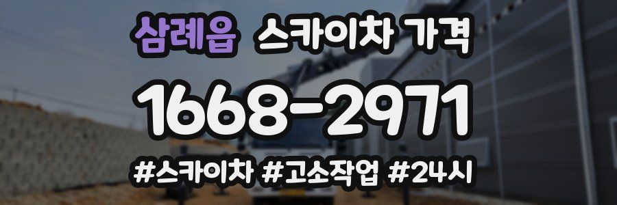 삼례읍 스카이차 가격