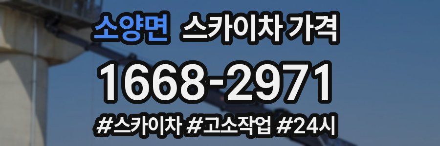 소양면 스카이차 가격