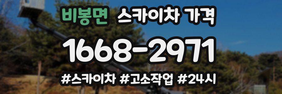 비봉면 스카이차 가격