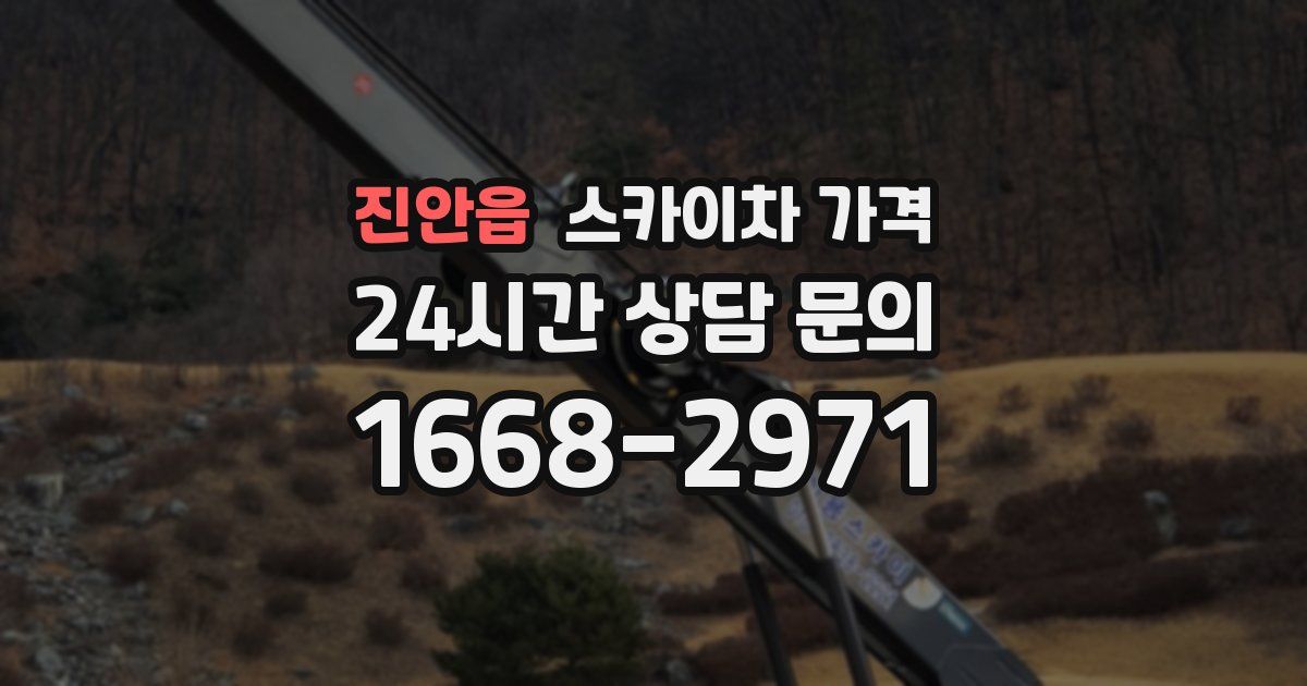 진안읍 스카이차 가격