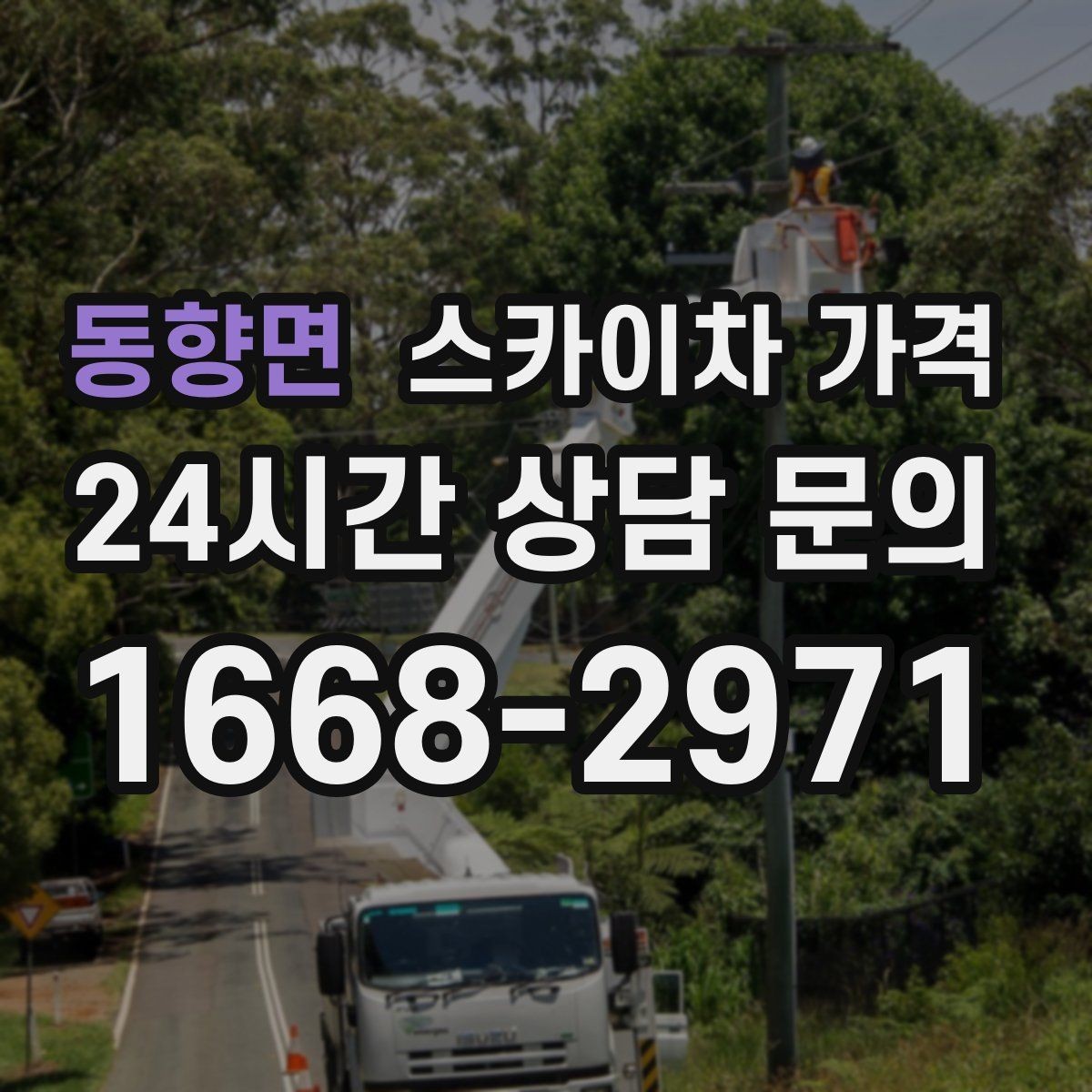 동향면 스카이차 가격 대기 시간 발생 여부을 줄이는 가장 현실적인 방법