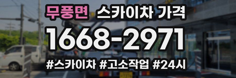 무풍면 스카이차 가격