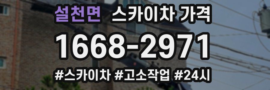 설천면 스카이차 가격