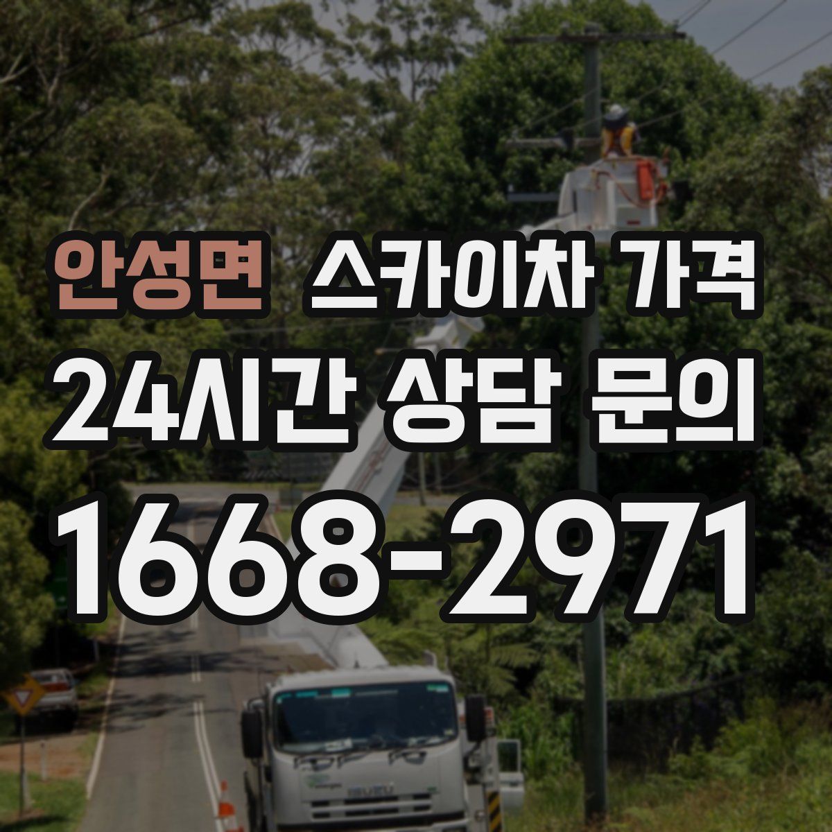 안성면 스카이차 가격