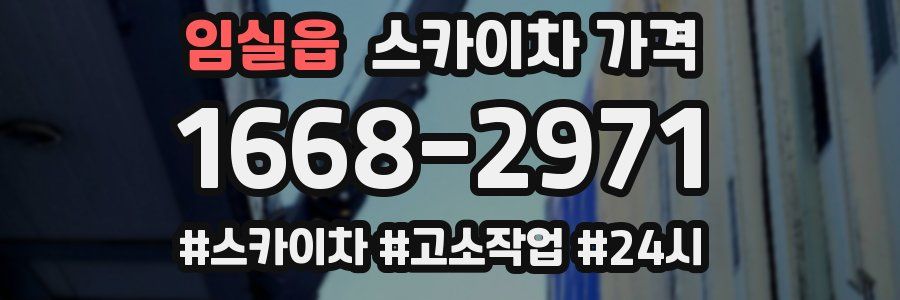 임실읍 스카이차 가격