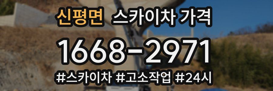 신평면 스카이차 가격