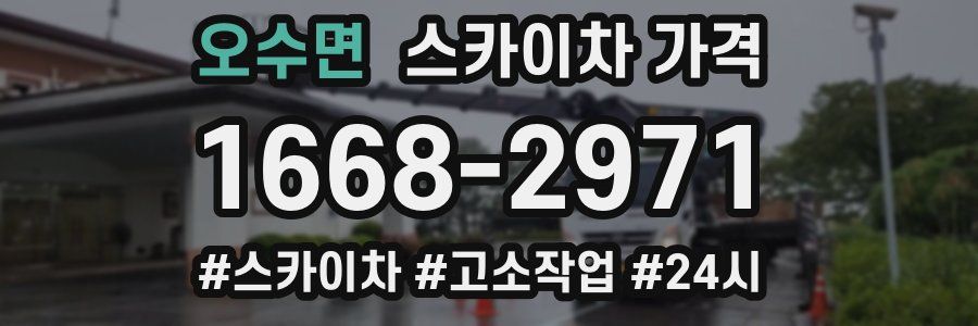 오수면 스카이차 가격