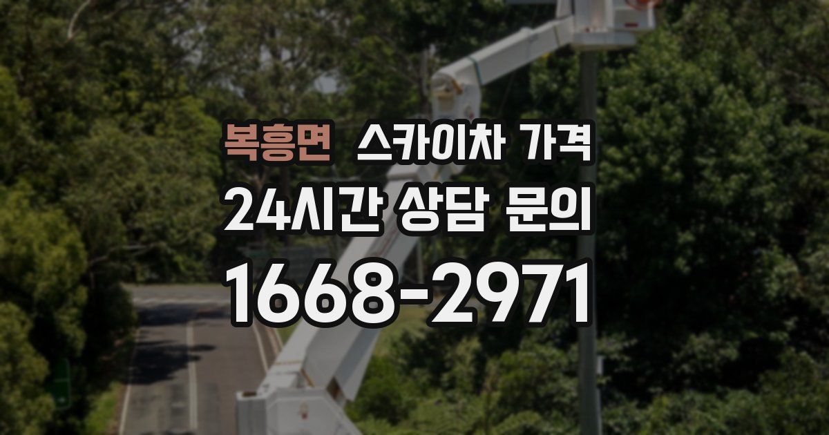 복흥면 스카이차 가격