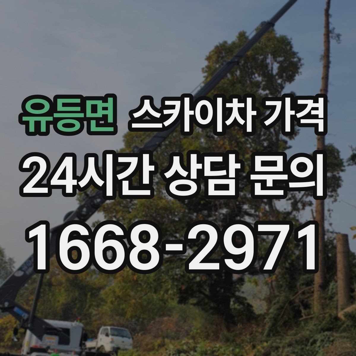 유등면 스카이차 가격 처음 문의할 때 헷갈리기 쉬운 포인트 정리