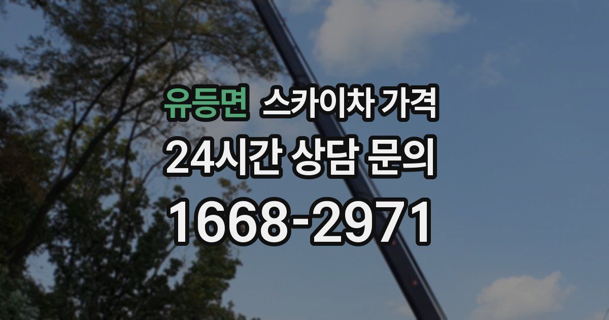 유등면 스카이차 가격