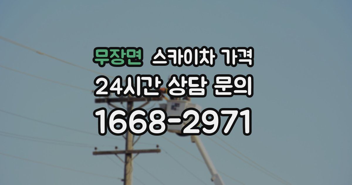 무장면 스카이차 가격