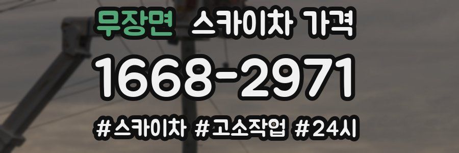 무장면 스카이차 가격