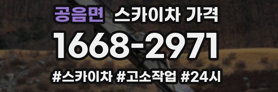 공음면 스카이차 가격