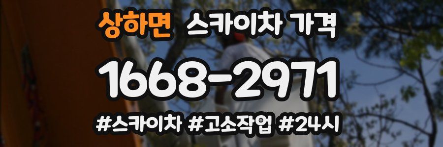 상하면 스카이차 가격