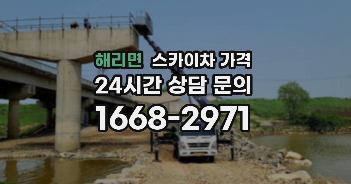 해리면 스카이차 가격