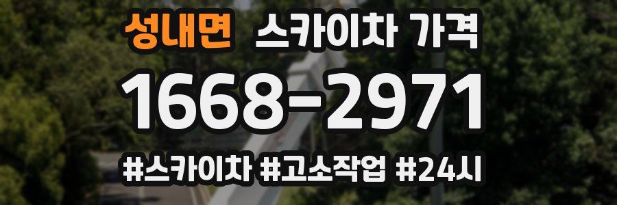 성내면 스카이차 가격