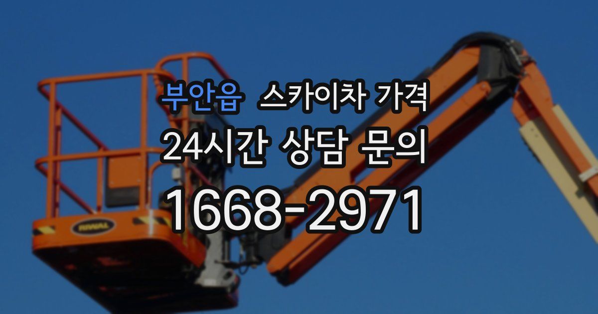 부안읍 스카이차 가격