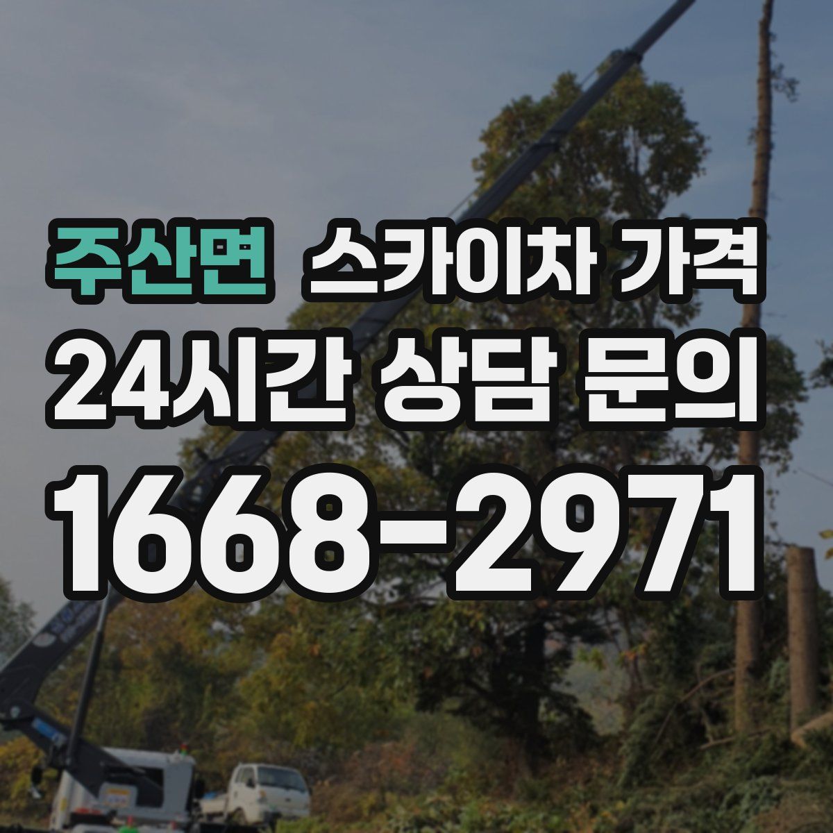 주산면 스카이차 가격