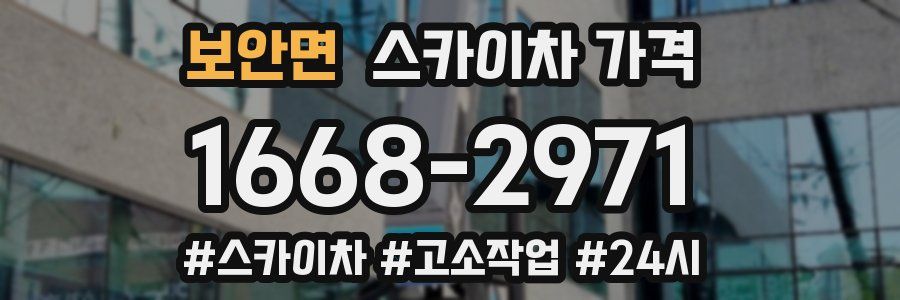 보안면 스카이차 가격