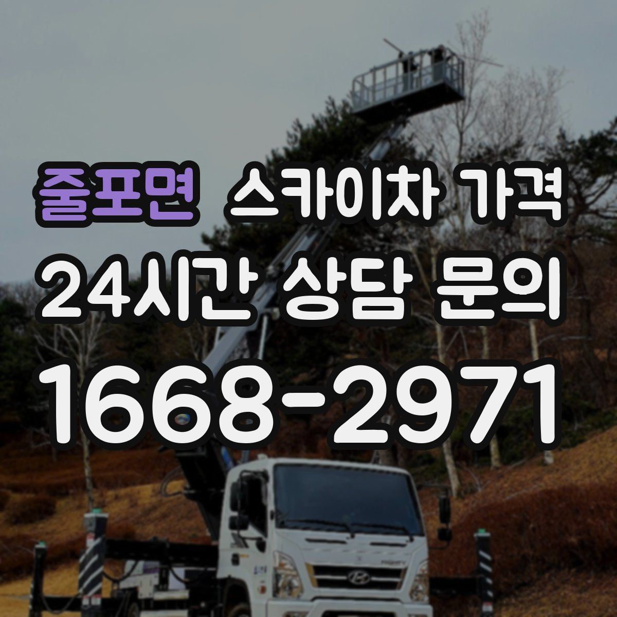 줄포면 스카이차 가격