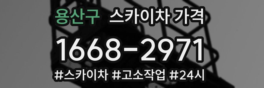 용산구 스카이차 가격