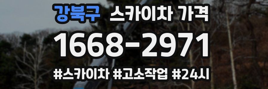 강북구 스카이차 가격