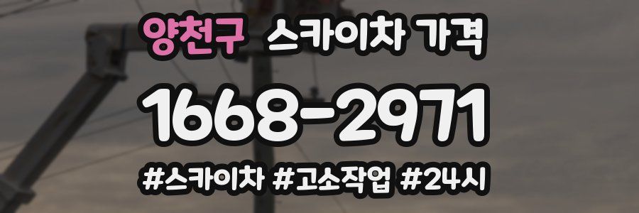 양천구 스카이차 가격