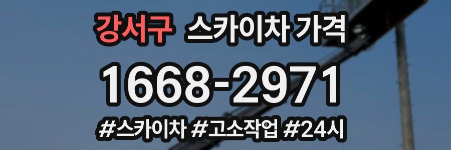 강서구 스카이차 가격