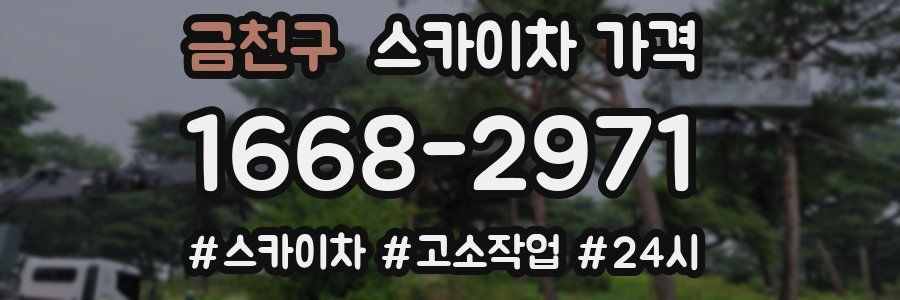 금천구 스카이차 가격