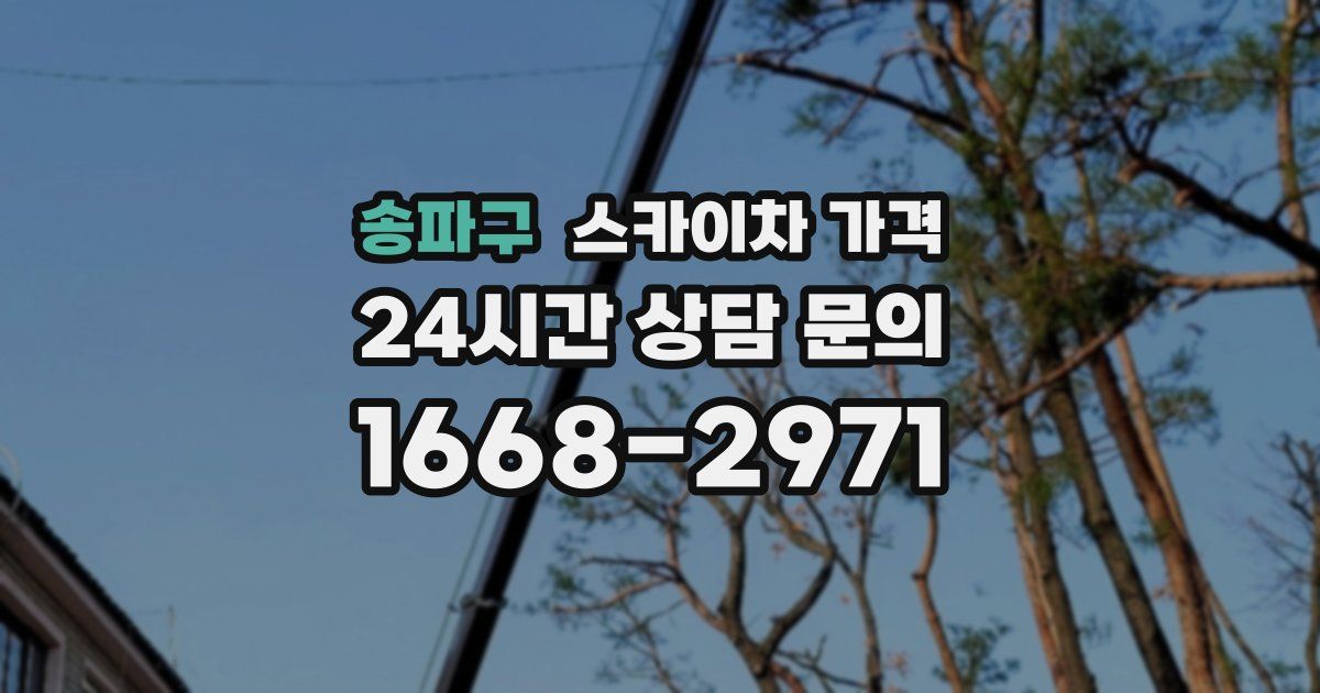 송파구 스카이차 가격