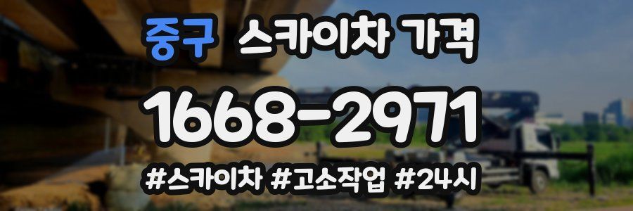 중구 스카이차 가격