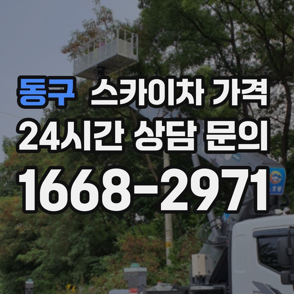 동구 스카이차 가격