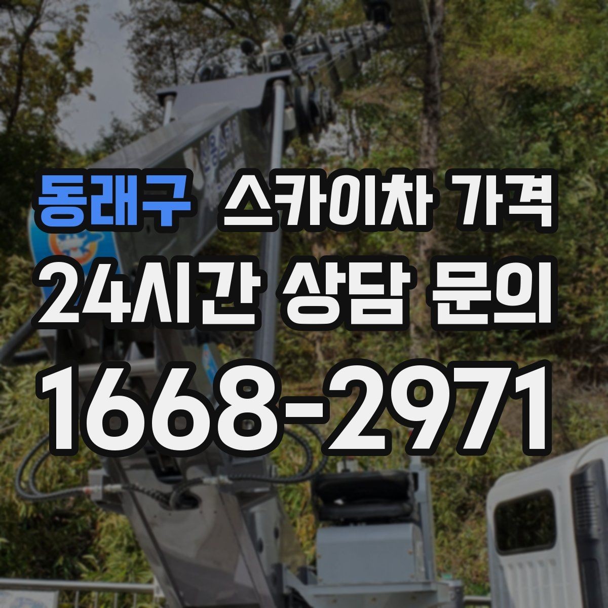 동래구 스카이차 가격 나무 가지치기 작업은 어떤 기준으로 볼까