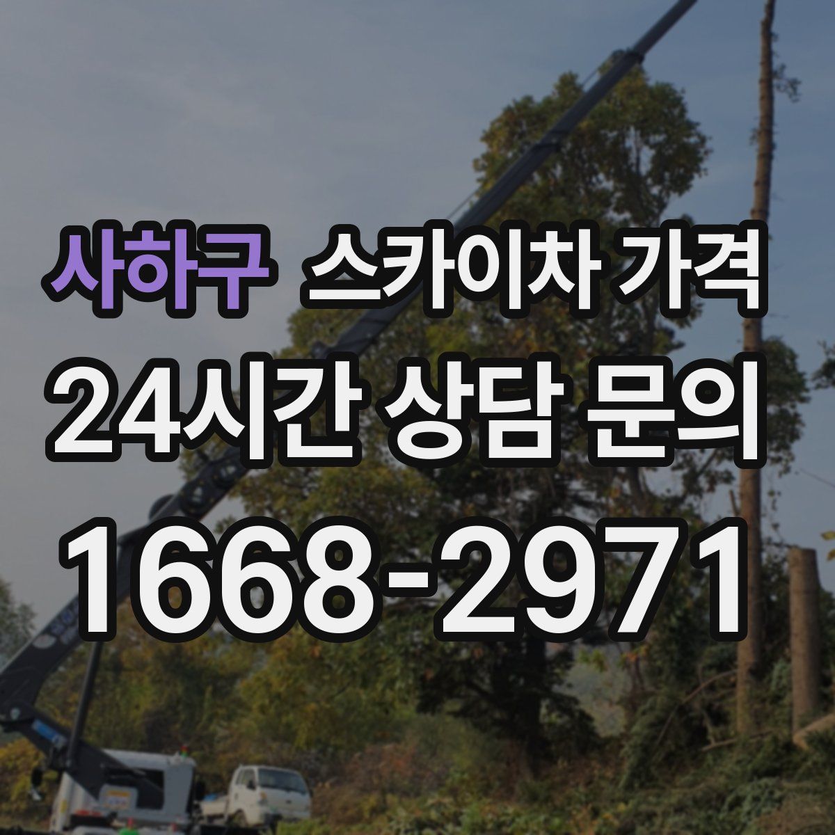 사하구 스카이차 가격