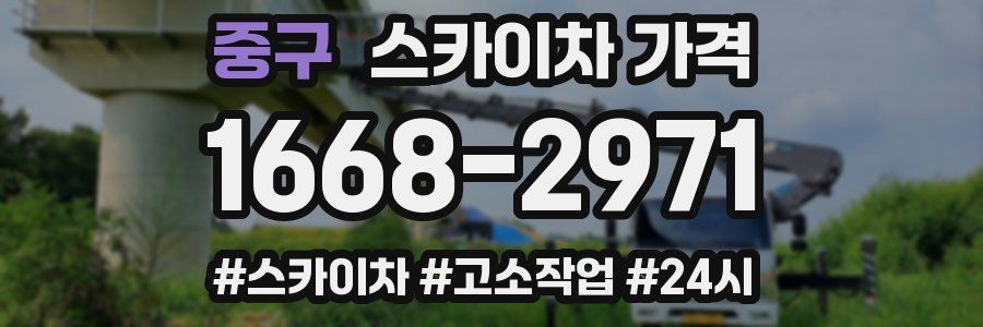 중구 스카이차 가격