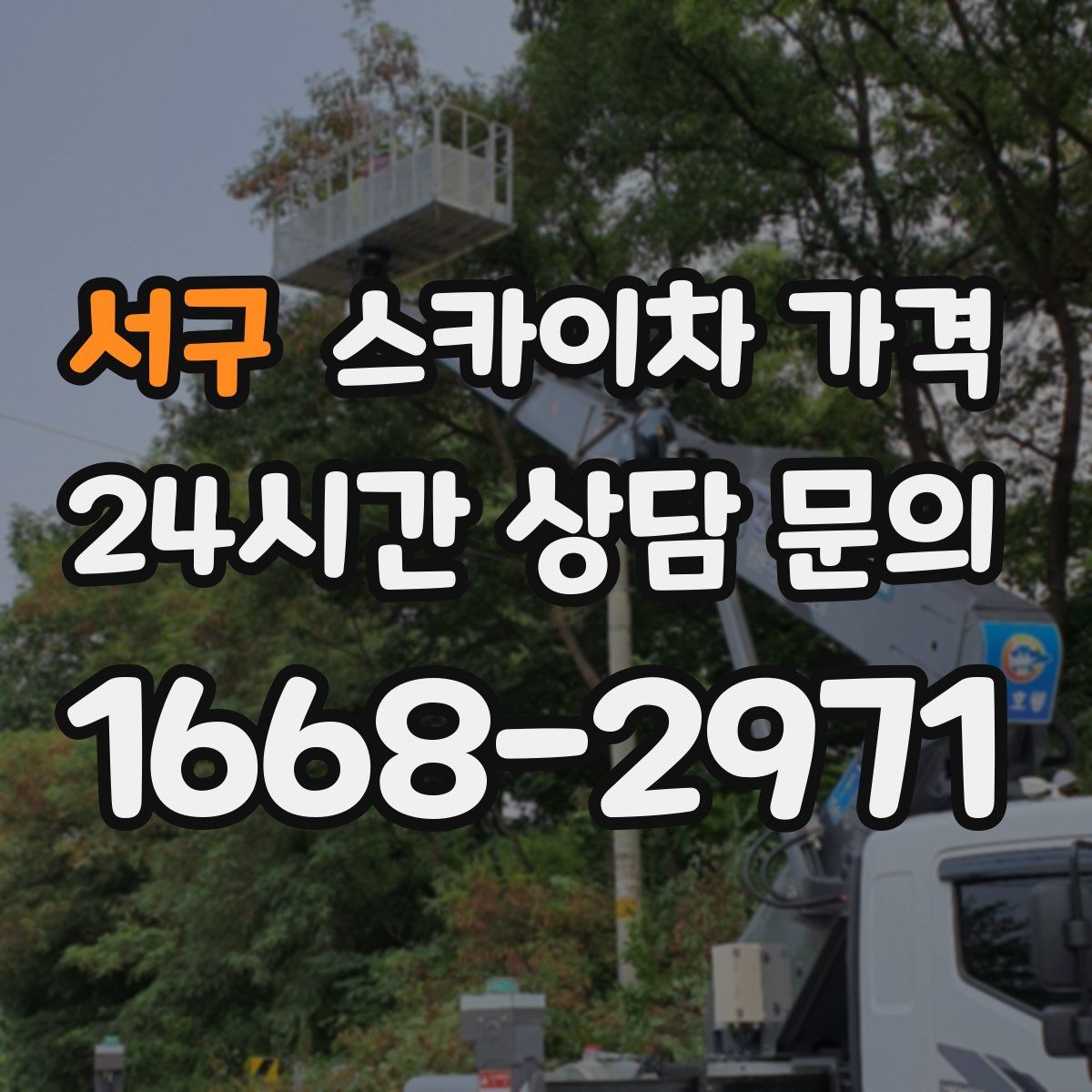 서구 스카이차 가격