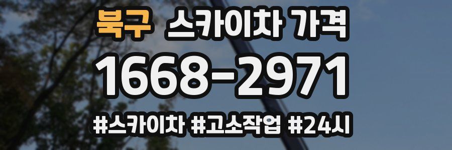 북구 스카이차 가격